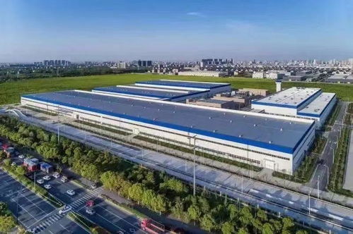 这2家桐企,全球标杆